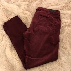 AG velvet pants
